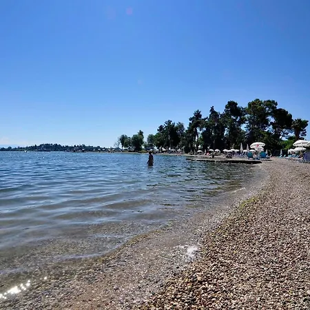 Filippas In